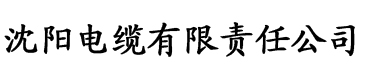 京东影业在线观看的成功之路电缆厂logo